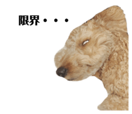 344331326