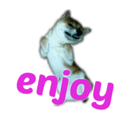 34433335