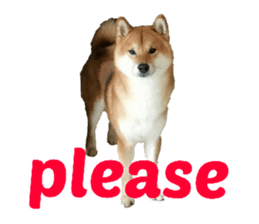34433336