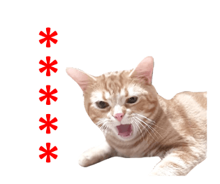 344337330