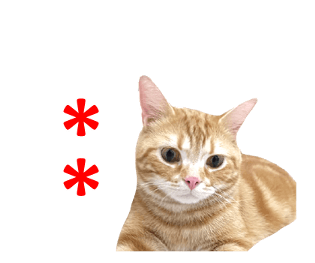 344337331