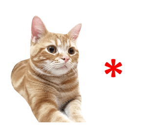 344337332