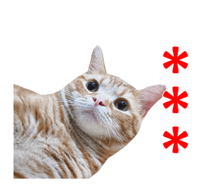 344337336