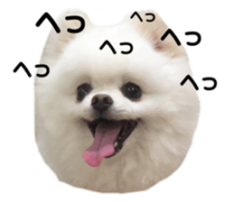 344411602