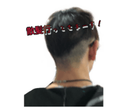 344413683