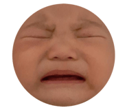344424451