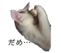 344434625