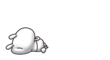 344444429