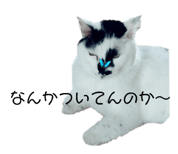 344473766