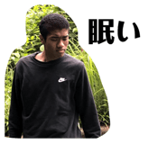 344474187