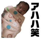 344480620