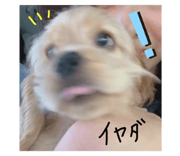 344482125