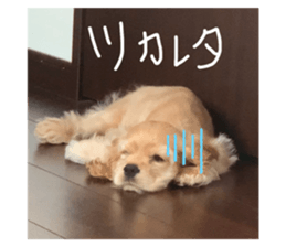 344482136