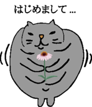 3445354