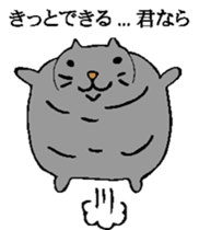 3445355