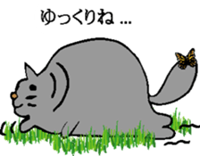 3445362