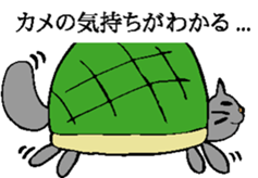 3445387