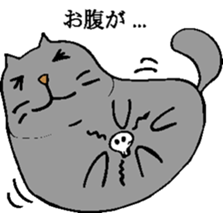 3445389