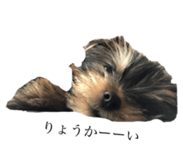344554632