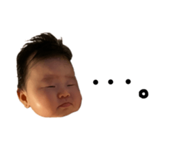 344557731