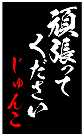 344561355