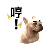 344601817