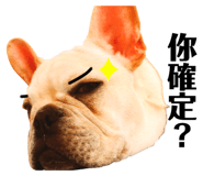 344601823