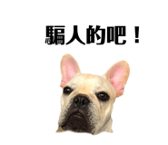 344601829