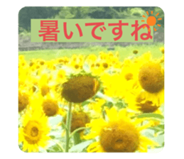344661424