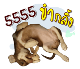 344668520