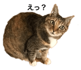 344676974