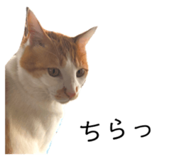 344698996
