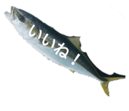 344705343