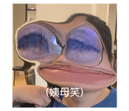 344725955