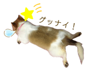 344732006