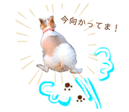 344732007