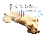 344732013