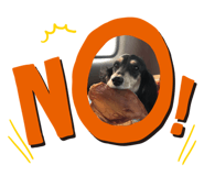 344734062