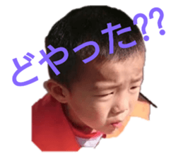 344820024