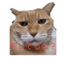 344825405