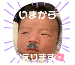344943787