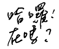 34494857