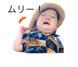 344961591