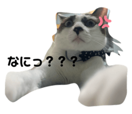 344965343