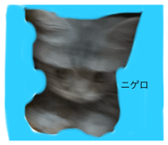 344976544