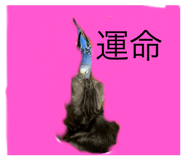 344976548