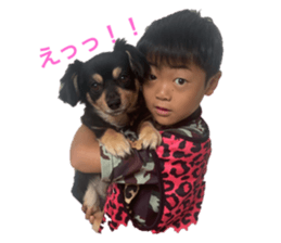 344977435