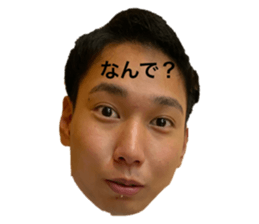 344977542