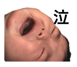 345023332