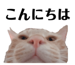 345068333